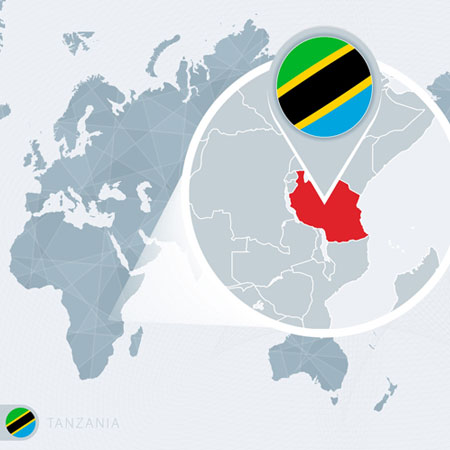 Tanzania visa application form